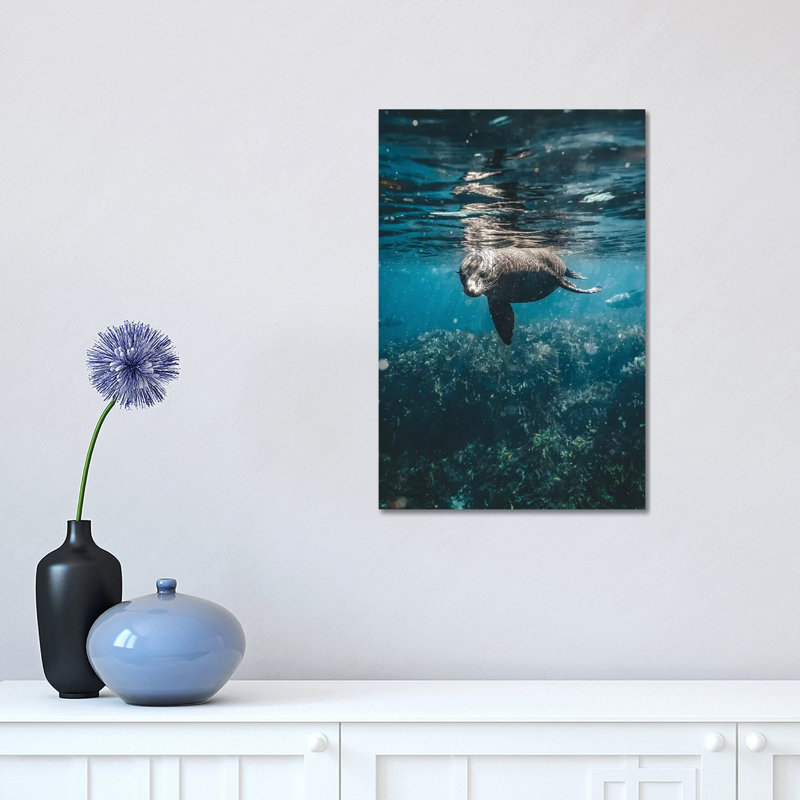 Inquisitive Sea Lion Underwater 1 Piece Wrapped Canvas Wall Art, 45.72cm H x 30.48cm W