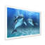 Deux dauphins bleus - Impression sur toile-67463989-67463999