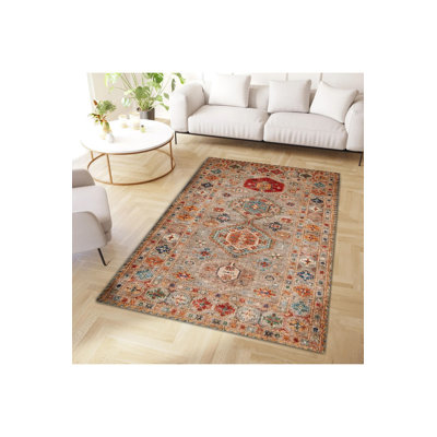 Multi Color Ethnic Pattern Woven Base Modern Decorative Machine Washable Area Rug