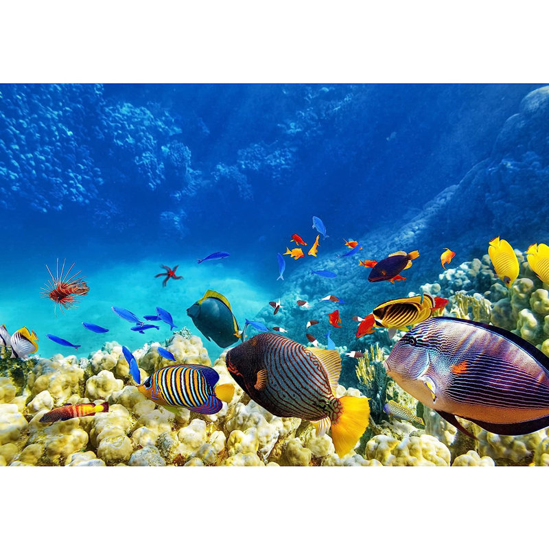 Murale à peindre corail bleu marine, L 100 po x l 144 po