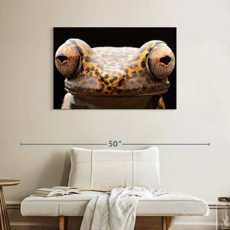 Brampt Tree Frog Eyes, 26" H x 39" W