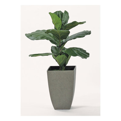 Faux plante de sol en pot gris