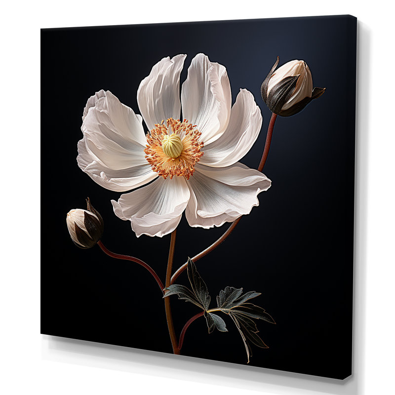 Sunny Ranunculus Dreams I sur toile, H 24 po x l 24 po x P 1 po, Toile tendue