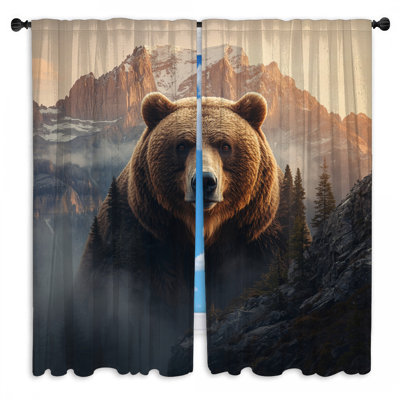 Grizzly Bear In Mountains