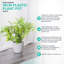 Pot Planter-69294294
