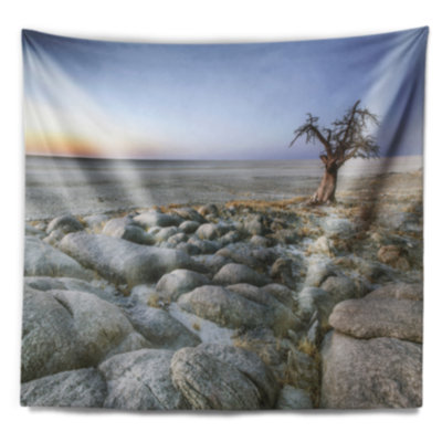 Tapisserie paysager sur le terrain rocky baobab tree