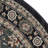 Klose Performance Oriental Rug-49637676-53100783