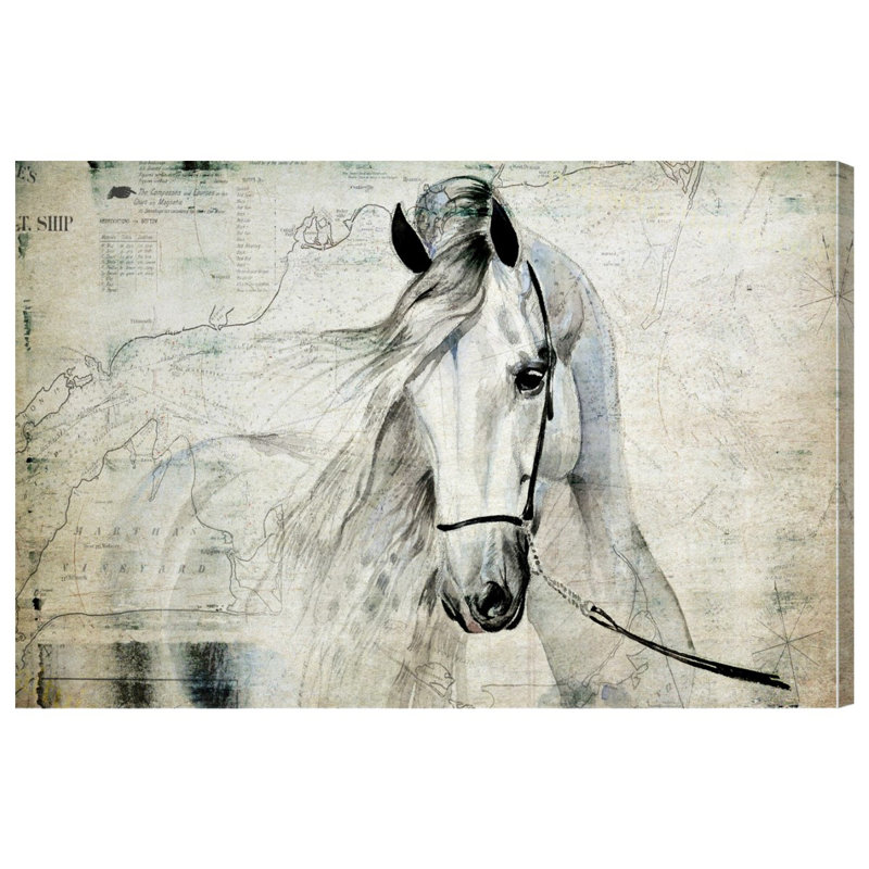 Antiqus Equus - Reproduction d'art graphique sur toile tendue, H 24 po x l 36 po, Toile tendue