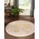 Saphira Chenille Oriental Indoor Rug