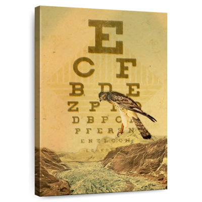 Vision d'oiseau