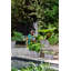 Planter Box-72816951-72816950
