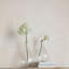 Vase en verre Timeless Elegance-1355905724