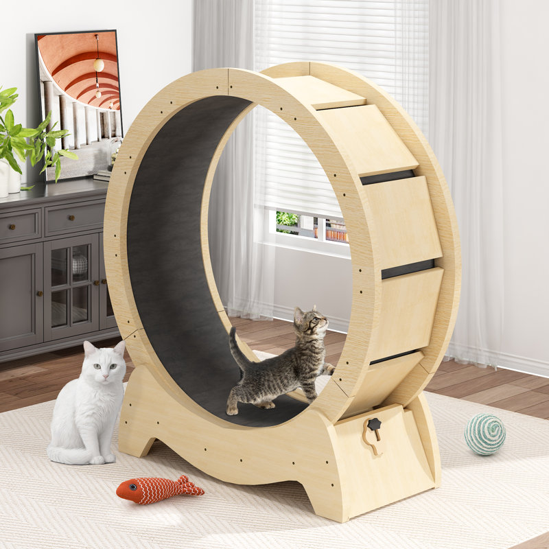 Roue d'exercice pour chats Conine, H 39,96 po x l 35,43 po x P 14,17 po