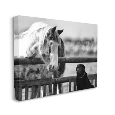 «Dog & Horse Farm Animal Friends» par James Dobson - photographie à cadre flottant
