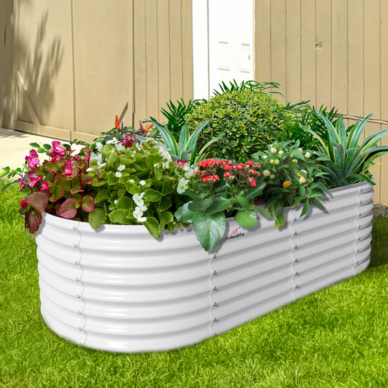 Platebande surélevée ovale durable 6 x 3 x 2 pi pour les légumes, les fleurs et les herbes, Blanc