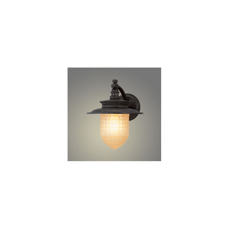 Applique murale d'extérieur à 1 ampoule Quincy Statuary Bronze, H 13,75 po x l 12,25 po x P 12,75 po, Incandescent