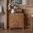 Manish 3 - Drawer Accent Chest with Burl Finish-1626921479