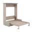 Queen Size Murphy Bed, Wood Murphy Bed Wall Bed With Sofa And LED