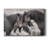 " Wild Horses "-727434783