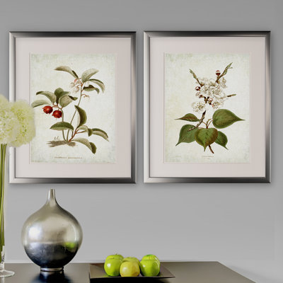 " Vintage Botanical Sketch IV " 2 - Pieces