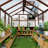 6 ft. x 10 ft. Wood Greenhouse for Outdoors, Polycarbonate Panel Wooden Walk-in Greenhouse Kit and Adjustable Roof Vent-121650711-121650712