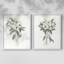 Impression encadrée Mountain Laurel I-Premium - prête à être accrochée - aucun clou requis - aucun clou requis-624468783-624468779