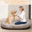 Lit pour chien humain pour adultes avec couvertures et oreillers-300586580