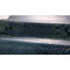 Papier peint feuilles de velours borestapeter