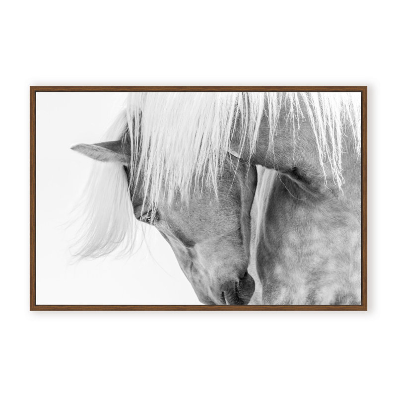Nature Inspired Halflinger Portrait by  - Picture Frame Photograph on Paper, 24" H x 36" W x 1.125" D, Black