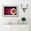 Lone Pink Rose in Abstract - Picture Frame Painting Print-55761146-55761147