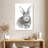 Brampt Baby Rabbit-106965040
