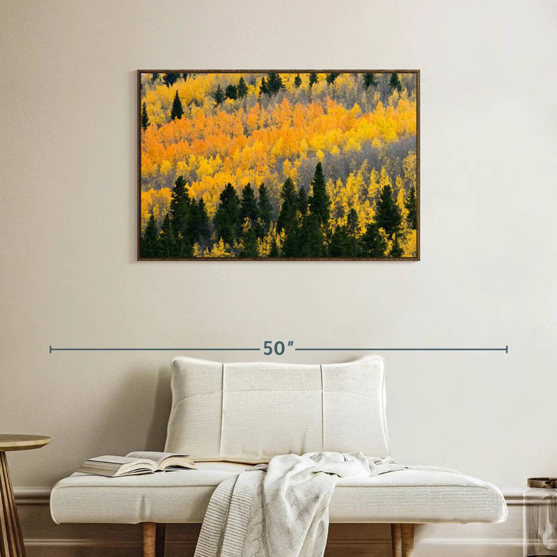 Colorado Aspen Wilderness, 37 po x 25 po, Cadre flottant noyer