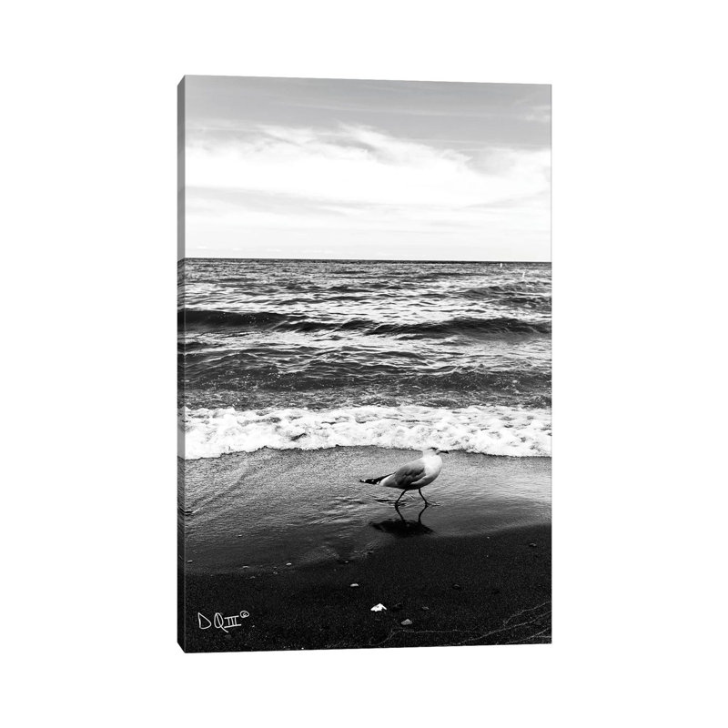 Seagull I by Donnie Quillen - Print on Canvas, Wrapped Canvas, 45.72cm H x 30.48cm W x 1.91cm D
