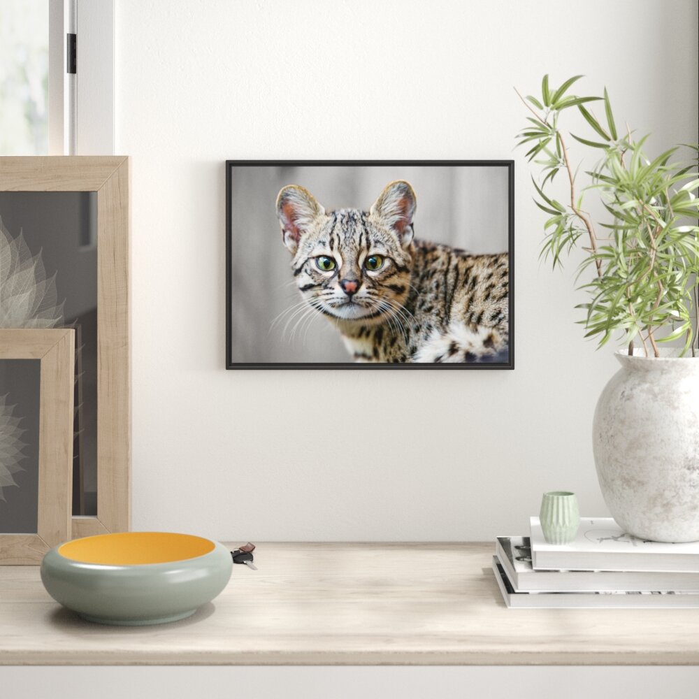 Gerahmtes Wandbild kleine aufmerksame Bengalkatze