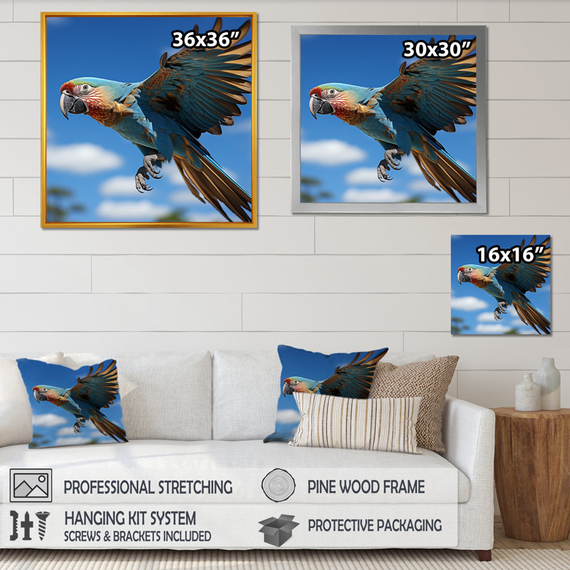 Perroquets ailes de beauté I sur toile, Toile tendue, H 24 po x l 24 po