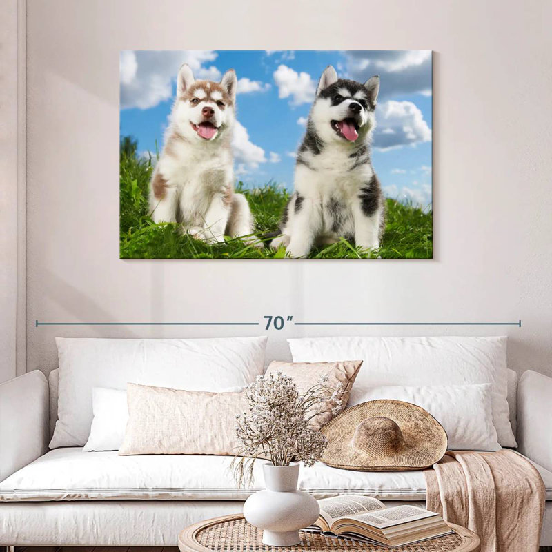 Husky Babies