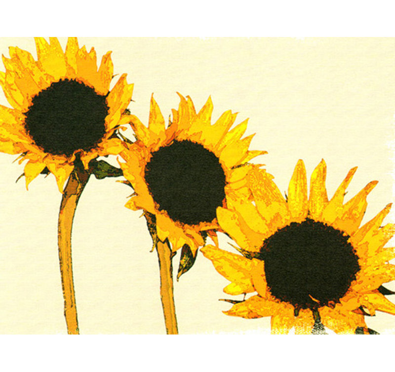 Sunflowers, 14" H x 18" W