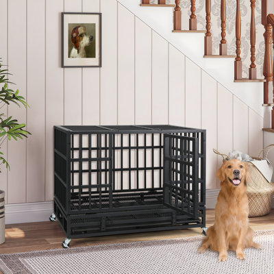 Dero Heavy-Duty Steel Dog Crate