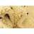 Noack Cream Rug