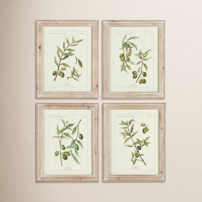 Evy "Olive Leaf Botanical" 4-Piece Set