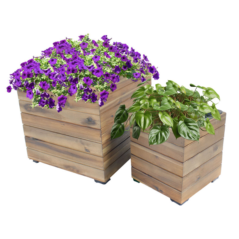 Bozzuto 2pc Assorted Square Anthracite Acacia Wood Planter Box with Liner - Gray, Gray
