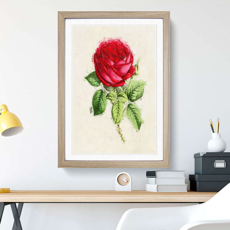 Illustration of a Red Rose - Picture Frame Painting Print, 36cm H x 27cm W x 2cm D, Oak Framed
