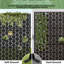Paravents d'extérieur en métal Wild 72 x 47 pouces Wild-123675625-123675628