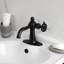 Wendell Single Hole Bathroom Faucet with Drain Assembly-91111219