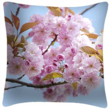 Blossom Pink 27 - Ella Lancaster Cushion