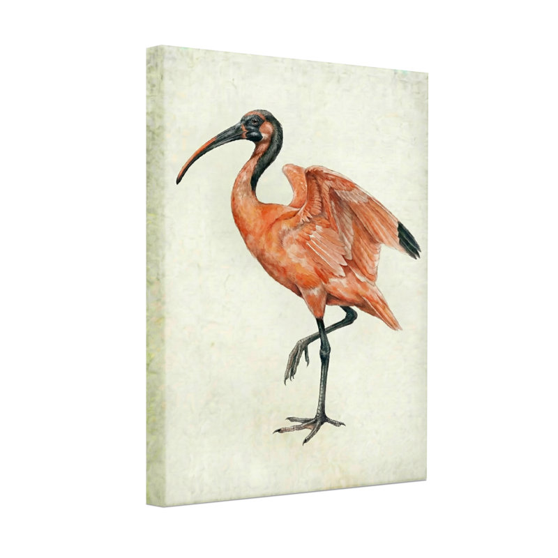 Animaux, animaux, écarlate, oiseau, impression sur toile, H 36 po x l 24 po
