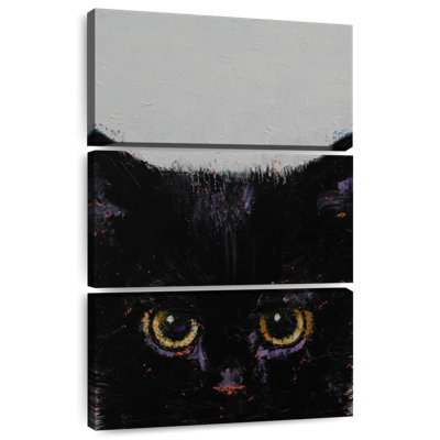 Brampt Black Kitten