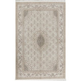Oriental Area Rug in Ivory