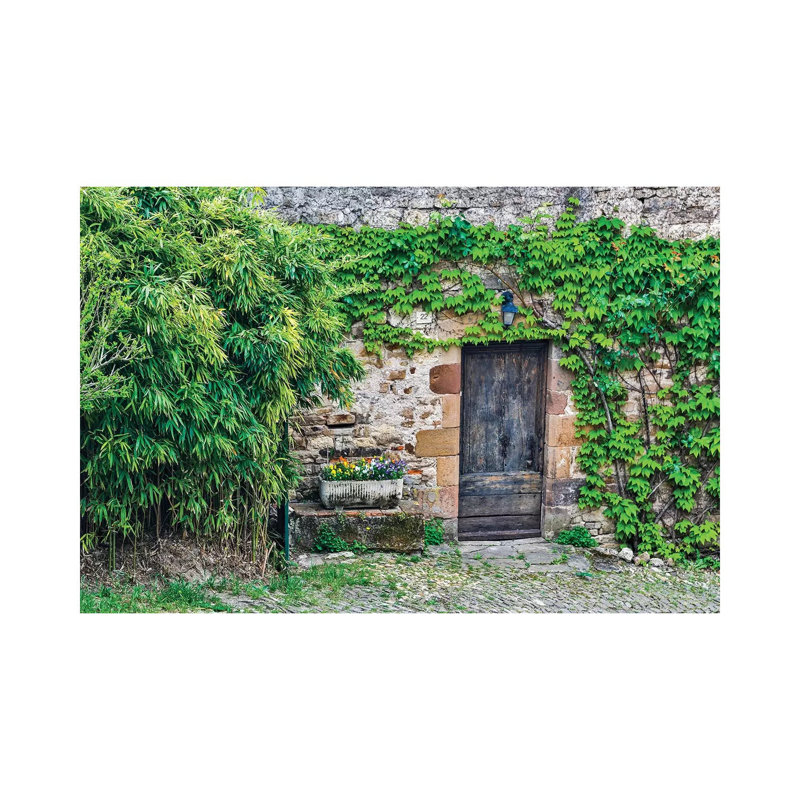 Wooden Doorway In Vine Covered Stone Wall Cordes-Sur-Ciel France by Hollice Looney - Wrapped Canvas Gallery-Wrapped Canvas Giclée
