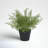 15.1'' Faux Fern Plant in Pot